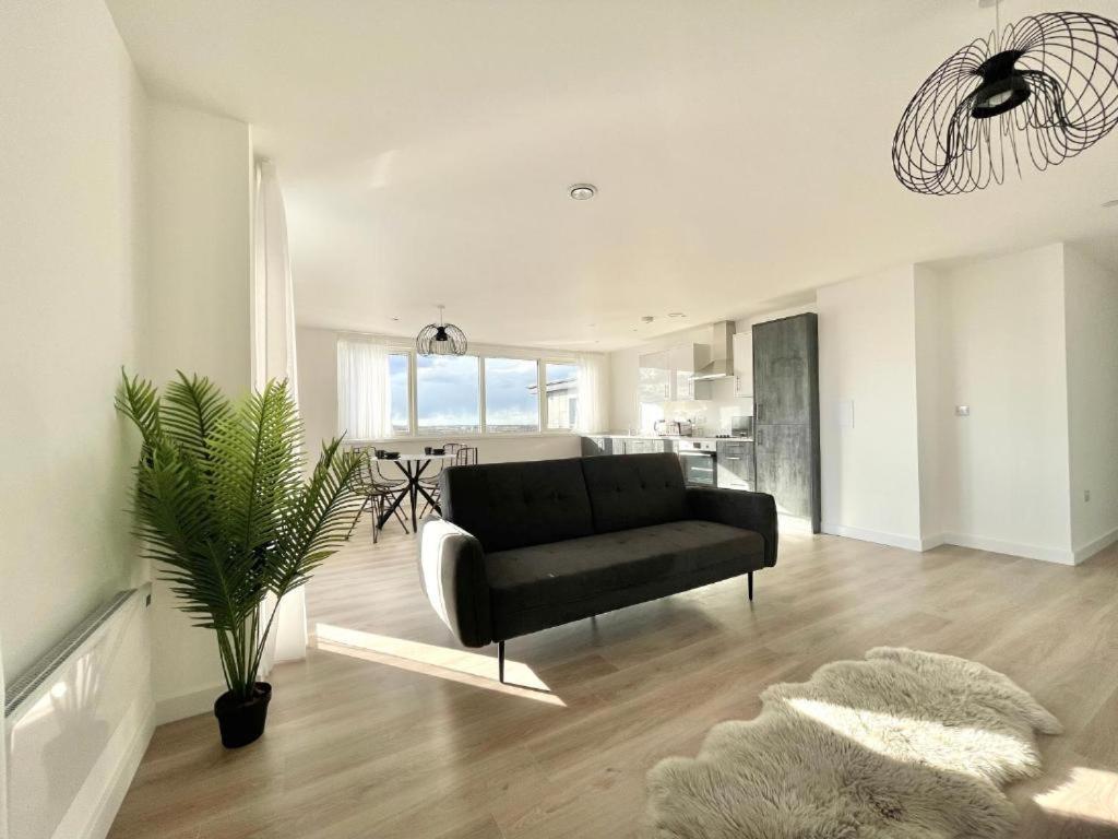 פטרבורו Bayard Plaza Penthouse Apartments מראה חיצוני תמונה